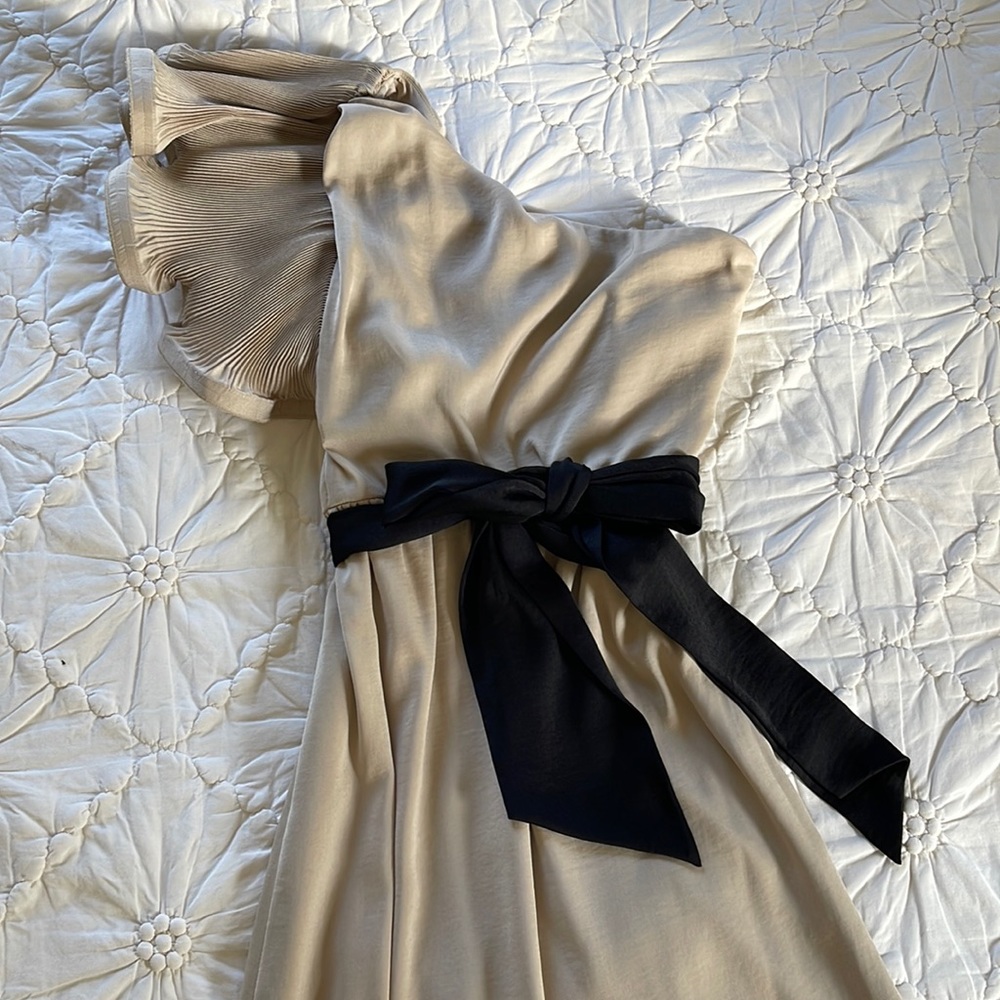 BCBG Formal Champagne Full Length Event Wedding Occasion Dress Size 0